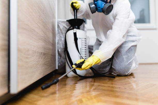Best Local Pest Control Services  in Johnstonville, CA