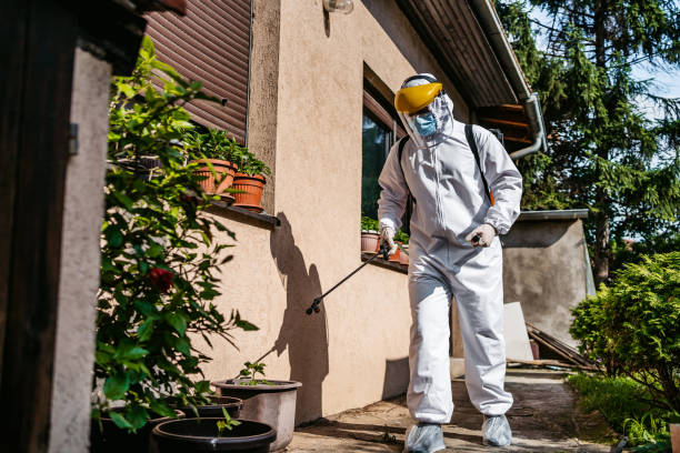 Best Pest Inspection Near Me  in Johnstonville, CA