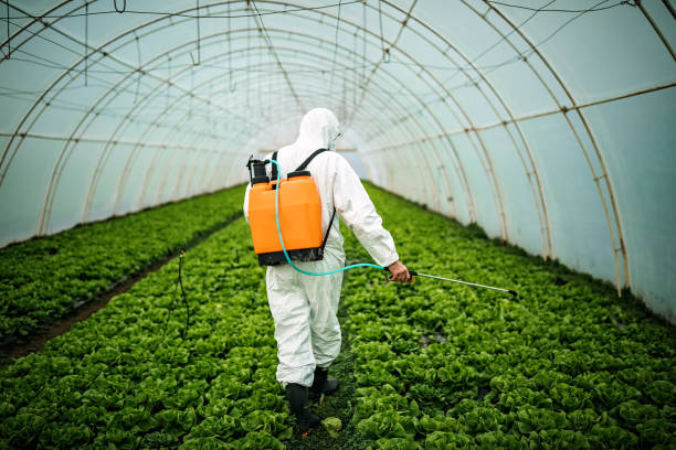Best Insect Control  in Johnstonville, CA