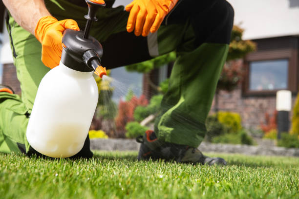 Best Termite Control Services  in Johnstonville, CA
